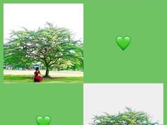 -华南国家植物园-售票处