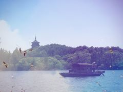 -西湖外事游船(花港观鱼码头)