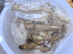 -三都土笋冻(海富路步行街店)