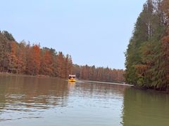 -上海海湾国家森林公园