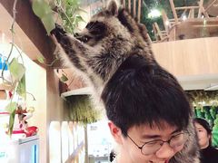 -藦茜花园宠物主题亲子互动体验馆(国顺东路店)