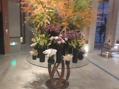 -浅深Cheersum(曹杨店)