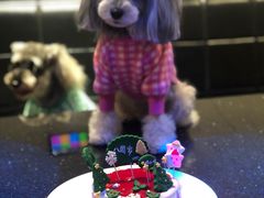 -皇马纯KTV(景田店)