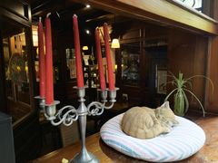 -古董花园(思南路42弄小区店)