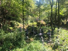 -茅兰沟国家森林公园