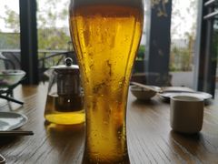 澳门金啤-川流不息(北蔡休闲广场店)