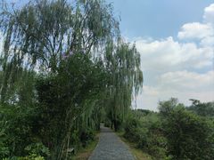 -溱湖国家湿地公园