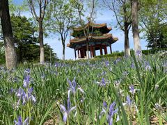 景点-南海子公园