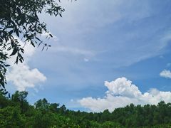 -大亚湾红树林城市湿地公园