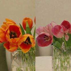 -悦子嘉月子中心旗舰馆(高新店)