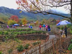 -塔川景区