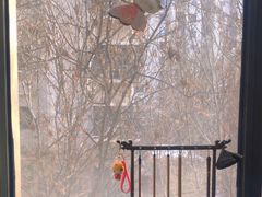 -秦汉胡同国学书院(天鹅湾分馆)