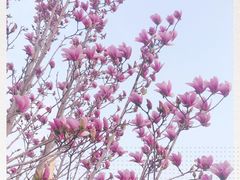-丰台花园