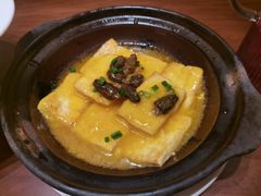 藏区羊肚菌焖豆腐-觅唐MITONG(鸟巢店)