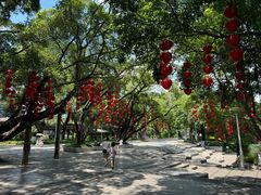 -荔湾湖公园