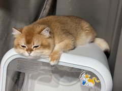 -鱼酷活鱼烤鱼(大华虎城店)