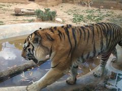 -昆明动物园