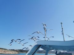 -海驴岛(荣成市)