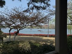 -浙江西子宾馆·牡丹厅
