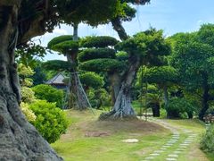 -南宁南湖公园