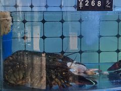 -日照大牌檔•小船海鲜(万平口店)