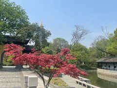 -红梅公园