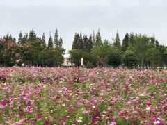 -歌斐颂巧克力小镇