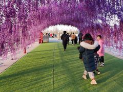 -绿野森林乐园冰雪季