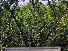 -长江路历史文化街区