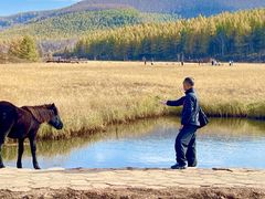 -塞罕坝国家级自然保护区
