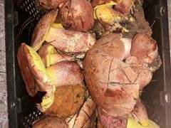-佳缘野生菌食府