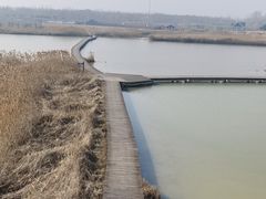-盐城丹顶鹤湿地生态旅游区
