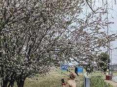 -两河城市森林公园