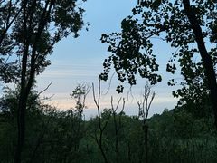 -西湖风景区-江洋畈生态公园