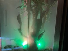 -泰悠谷养生SPA(世茂商业街店)