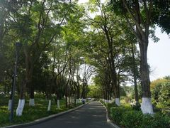 -东莞植物园
