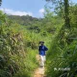 梅林山郊野径｜无楼梯爬山