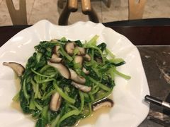 -冶春茶社(星汉大厦店)