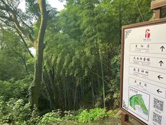 -敬亭山风景名胜区