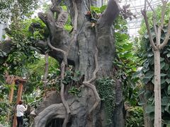 -郑州植物园