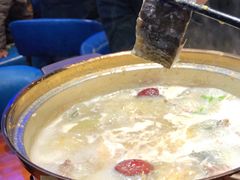 甲鱼-千岛蚝高压锅生蚝·人参火锅(白云万达店)