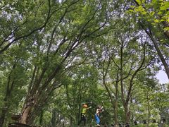 -WeLope紫金山探险公园