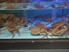 -阿伟海鲜楼·福建菜(延寿店)