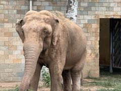 -石家庄市动物园