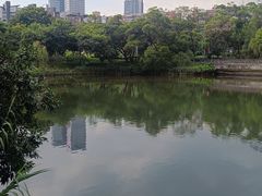 -四海公园(南山区)