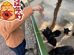 -汕头蓝水星欢乐世界