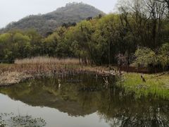-西湖风景区-江洋畈生态公园