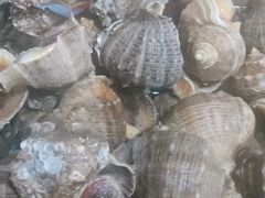 -云南巷海鲜大咖·可加工海鲜