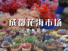 -三圣花乡旅游区