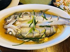 清蒸白鱼-观桥阁(锦溪店)